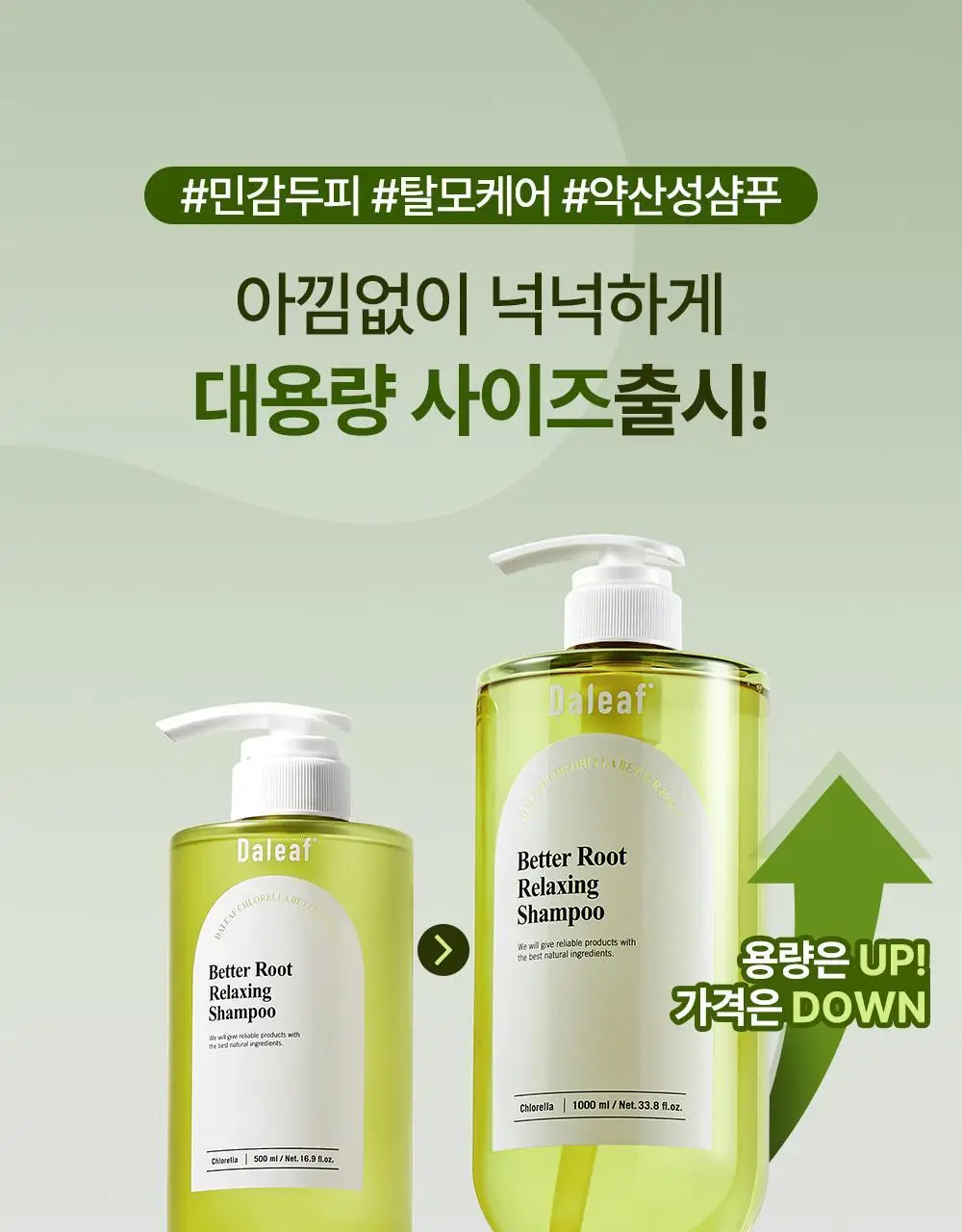 [대용량/탈모증상완화] 달리프 클로렐라 베러 루트 릴렉싱 샴푸 1000ml 상세페이지 3